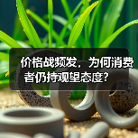 价格战频发,为何消费者仍持观望态度?(图2) 价格战频发,为何消费者仍持观望态度?(图2)