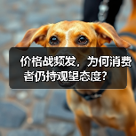 价格战频发,为何消费者仍持观望态度?(图1) 价格战频发,为何消费者仍持观望态度?(图1)