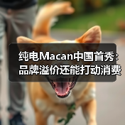 纯电Macan中国首秀：品牌溢价还能打动消费者吗？（图4）