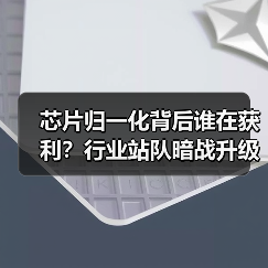 芯片归一化背后谁在获利?行业站队暗战升级(图1) 芯片归一化背后谁在获利?行业站队暗战升级(图1)