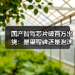 国产智驾芯片破百万出货:是里程碑还是泡沫?(图4) 国产智驾芯片破百万出货:是里程碑还是泡沫?(图4)