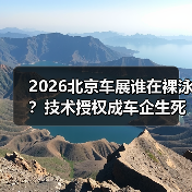 2026北京车展谁在裸泳?技术授权成车企生死战(图3) 2026北京车展谁在裸泳?技术授权成车企生死战(图3)