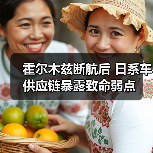 霍尔木兹断航后 日系车供应链暴露致命弱点（图2）