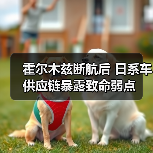 霍尔木兹断航后 日系车供应链暴露致命弱点（图3）