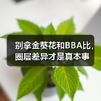 别拿金葵花和BBA比,圈层差异才是真本事(图2) 别拿金葵花和BBA比,圈层差异才是真本事(图2)