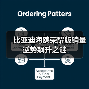 比亚迪海鸥荣耀版销量逆势飙升之谜(图3) 比亚迪海鸥荣耀版销量逆势飙升之谜(图3)