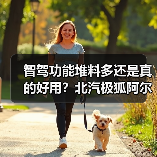 智驾功能堆料多还是真的好用?北汽极狐阿尔法S5引争议(图2) 智驾功能堆料多还是真的好用?北汽极狐阿尔法S5引争议(图2)