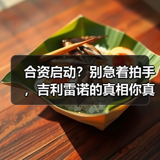 合资启动?别急着拍手,吉利雷诺的真相你真懂?(图4) 合资启动?别急着拍手,吉利雷诺的真相你真懂?(图4)