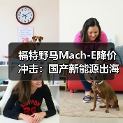 福特野马Mach-E降价冲击：国产新能源出海如何应对价格战？（图4）