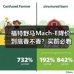 福特野马Mach-E降价到底香不香？买前必看的三大避坑指南（图1）