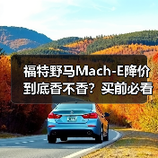 福特野马Mach-E降价到底香不香？买前必看的三大避坑指南（图4）