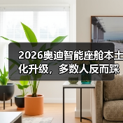 2026奥迪智能座舱本土化升级，多数人反而踩坑？（图2）