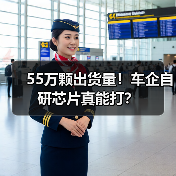 55万颗出货量!车企自研芯片真能打?(图4) 55万颗出货量!车企自研芯片真能打?(图4)