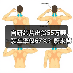 自研芯片出货55万颗,装车率仅67%?蔚来背后有哪些秘密?(图3) 自研芯片出货55万颗,装车率仅67%?蔚来背后有哪些秘密?(图3)