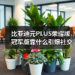 比亚迪元PLUS荣耀版冠军版靠什么引爆社交圈?(图4) 比亚迪元PLUS荣耀版冠军版靠什么引爆社交圈?(图4)