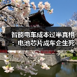 智能电车成本过半真相:电池芯片成车企生死命门(图2) 智能电车成本过半真相:电池芯片成车企生死命门(图2)