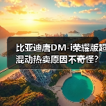 比亚迪唐DM-i荣耀版超混动热卖原因不奇怪?(图4) 比亚迪唐DM-i荣耀版超混动热卖原因不奇怪?(图4)