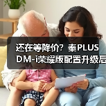 还在等降价？秦PLUS DM-i荣耀版配置升级后真实体验揭秘（图3）