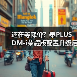 还在等降价？秦PLUS DM-i荣耀版配置升级后真实体验揭秘（图4）