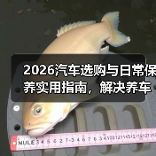 2026汽车选购与日常保养实用指南,解决养车难题(图2) 2026汽车选购与日常保养实用指南,解决养车难题(图2)