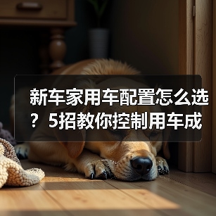 新车家用车配置怎么选?5招教你控制用车成本(图3) 新车家用车配置怎么选?5招教你控制用车成本(图3)