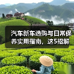 汽车新车选购与日常保养实用指南,这5招解决难题(图4) 汽车新车选购与日常保养实用指南,这5招解决难题(图4)