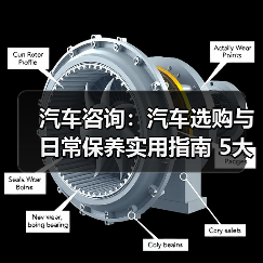 汽车咨询:汽车选购与日常保养实用指南 5大方法(图3) 汽车咨询:汽车选购与日常保养实用指南 5大方法(图3)