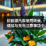 新能源汽车使用场景、续航与充电注意事项全攻略(图4) 新能源汽车使用场景、续航与充电注意事项全攻略(图4)