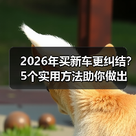 2026年买新车更纠结?5个实用方法助你做出正确购车决策(图4) 2026年买新车更纠结?5个实用方法助你做出正确购车决策(图4)
