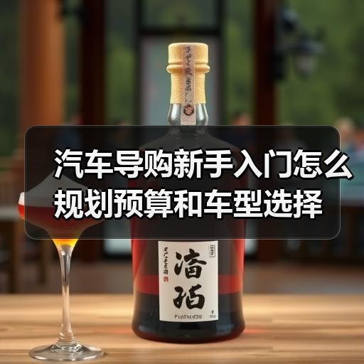 汽车导购新手入门怎么规划预算和车型选择